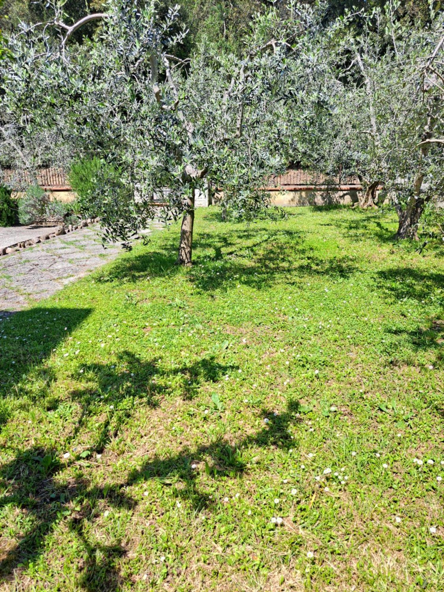 Casa Gli Ulivi Villa Montepulciano Ngoại thất bức ảnh