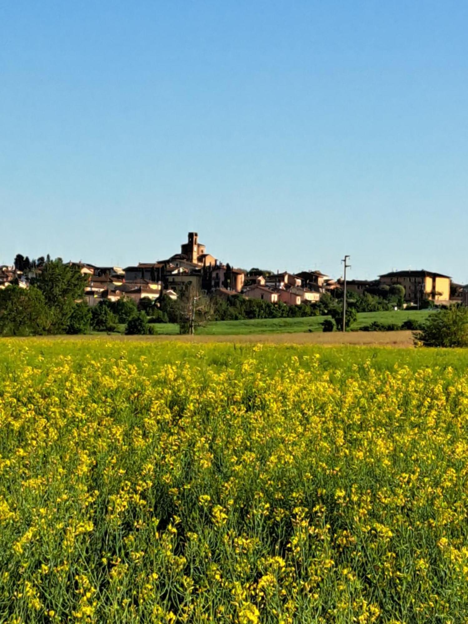Casa Gli Ulivi Villa Montepulciano Ngoại thất bức ảnh